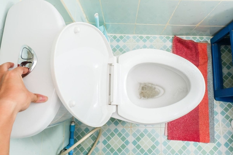 Kenapa Beberapa Toilet Punya Dua Tombol Flush?