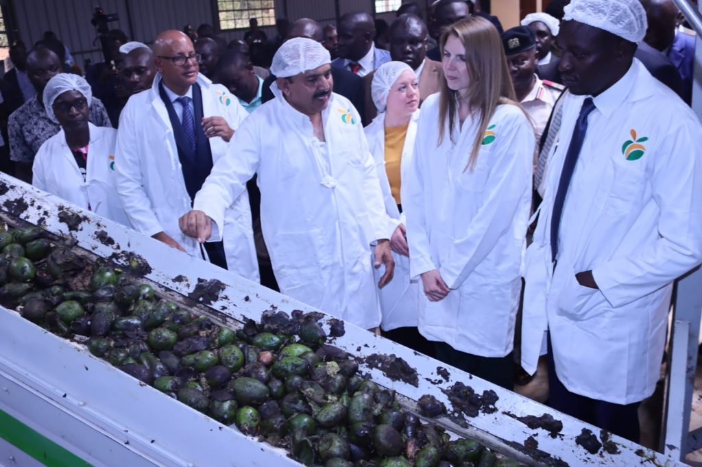 16 07 40 Kisii avocado processing plant 3 1024x682