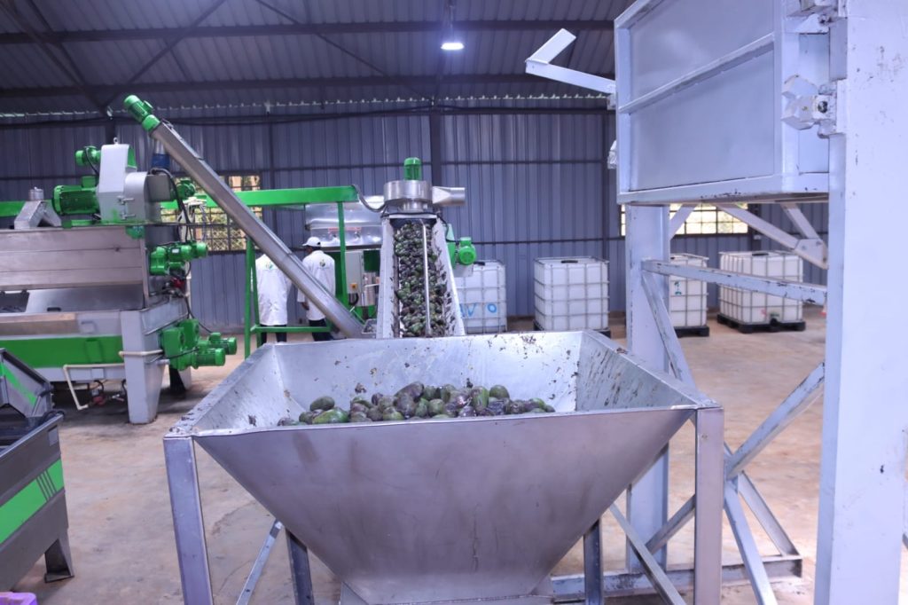 16 26 53 Kisii avocado processing plant 4 1024x682