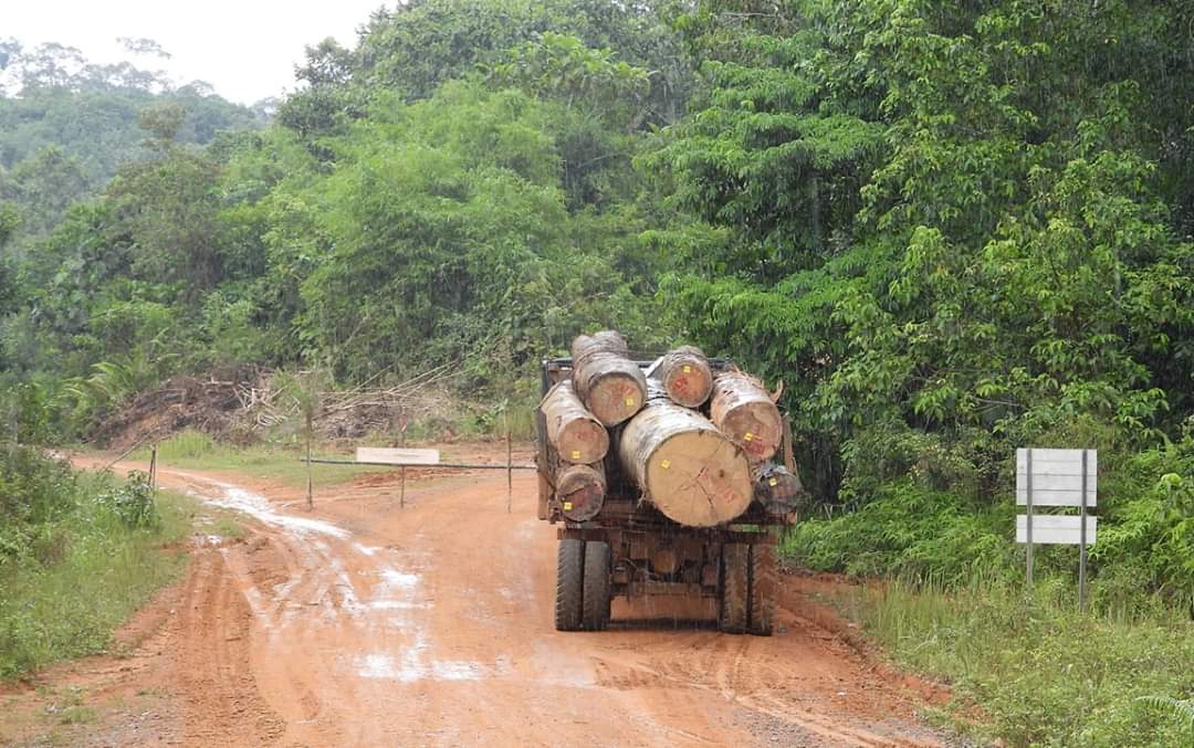 FB IMG 1574773681106