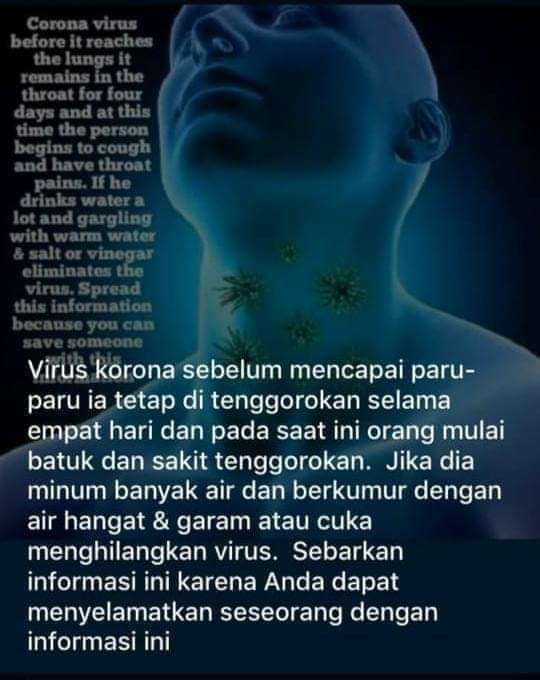 FB IMG 1584441348564