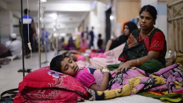 demam berdarah mewabah di bangladesh 778 orang meninggal 169