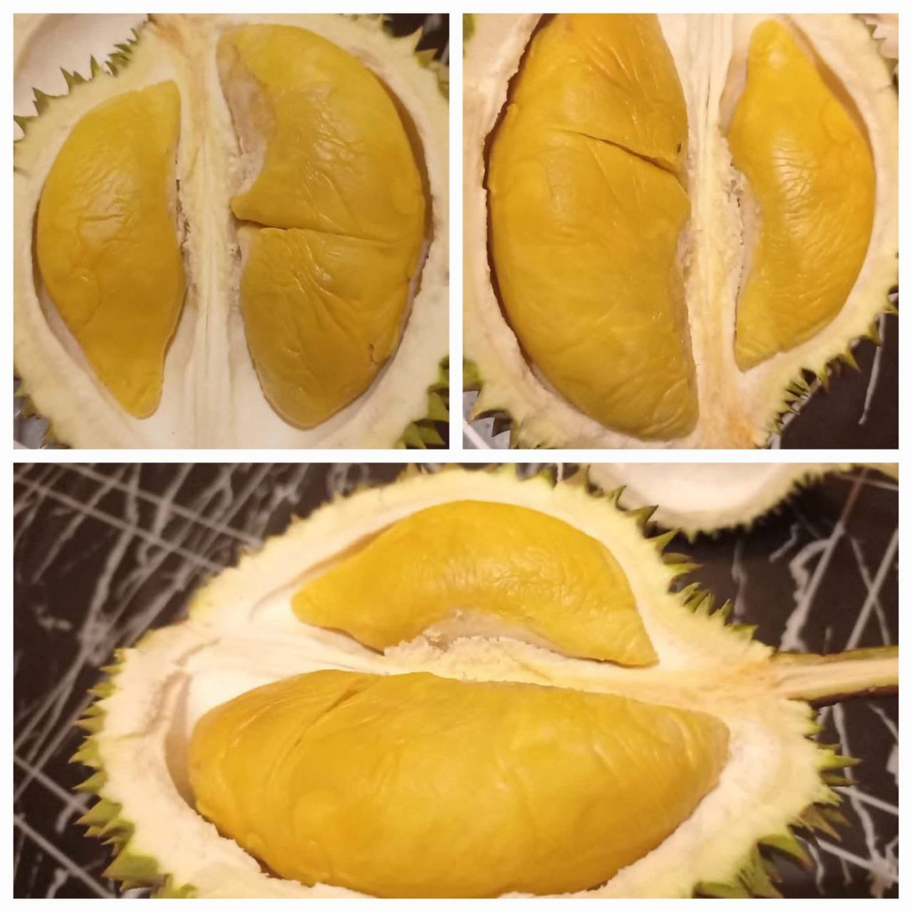 Pesona Durian Indonesia Dari Sumatera