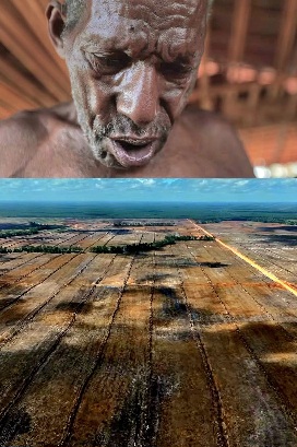 Pesta Babi dan Tangis Doa Wilhelm Kimko dari Waropko, Boven Digoel