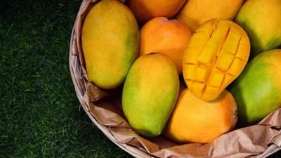 7 Cara Memilih Buah Mangga yang Manis,  Jangan Cuma Dipegang 