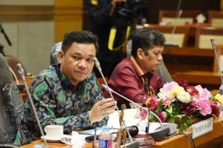 Ace Hasan Syadzily